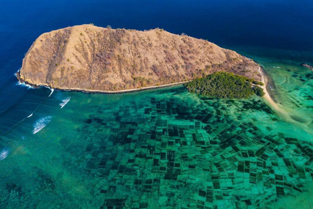 Beach-Front Sumbawa Surf House Lemonga 외부 사진